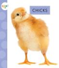 Chicks By Anastasia Suen Cover Image