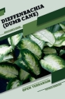 Dieffenbachia (Dumb Cane): Open terrarium, Beginner's Guide By Tetiana Sabanen Cover Image