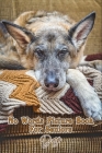 No Words Just Pictures For Seniors: Great picture book gift for all ages but focused on seniors and the elderly who may be dealing with Alzheimer's, D By Aging Parents Press Cover Image