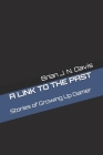 A Link to the Past: Stories of Growing Up Gamer By Brian J. N. Davis Cover Image