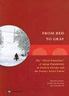 From Red to Gray: The 'third Transition' of Aging Populations in Eastern Europe and the Former Soviet Union (Europe and Central Asia Reports) By Mukesh Chawla, Gordon Betcherman, Arup Banerji Cover Image