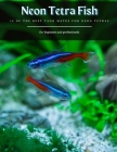 Neon Tetra Fish: 12 Of The Best Tank Mates for Neon Tetras Cover Image