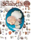 Best of Seashells: Projects for Adults and Kids By Suzanne McNeill Cover Image