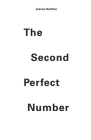 The Second Perfect Number By Joanna Solfrian Cover Image