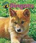 Dingoes (Wild Canine Pups) By Mary Meinking, Blaire Van Valkenburgh (Consultant) Cover Image