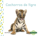 Cachorros de Tigre (Tiger Cubs) By Julie Murray Cover Image
