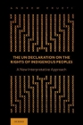 The Un Declaration on the Rights of Indigenous Peoples: A New Interpretative Approach Cover Image