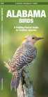 Alabama Birds: An Introduction to Familiar Species (Pocket Naturalist Guide) Cover Image