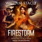 Firestorm Lib/E By William Stacey, Chelsea Stephens (Read by) Cover Image