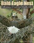 Bald Eagle Nest: A Story of Survival in Photos By Kate Davis Cover Image