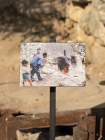 Nida Sinnokrot: Palestine Is Not a Garden By Anthony Downey (Editor) Cover Image