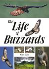 The Life of Buzzards By Peter Dare Cover Image