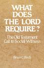 What Does the Lord Require?: The Old Testament Call to Social Witness By Bruce C. Birch Cover Image