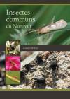 Insectes communs du Nunavut By Carolyn Mallory Cover Image