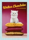 Walter Chandoha: The Cat Photographer By Walter Chandoha (Photographer), David La Spina (Interviewer), Brittany Hudak (Interviewer) Cover Image