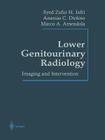 Lower Genitourinary Radiology: Imaging and Intervention By Syed Z. H. Jafri (Editor), P. L. Choyke (Preface by), Marco A. Amendola (Editor) Cover Image