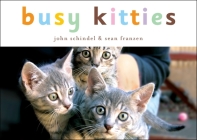 Busy Kitties (A Busy Book) By John Schindel, Sean Franzen (Photographs by) Cover Image