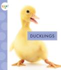 Ducklings By Anastasia Suen Cover Image