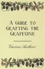 A Guide to Grafting the Grapevine By Various Cover Image