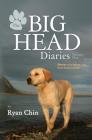 The Big Head Diaries, Volume 1: Stories of a Yellow Lab from Down Under By Ryan Chin Cover Image