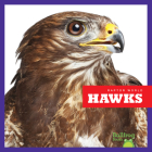 Hawks By Jenna Lee Gleisner Cover Image