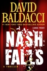 Nash Falls By David Baldacci Cover Image
