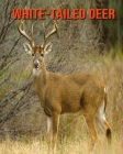 White-Tailed Deer: Amazing Facts about White-Tailed Deer Cover Image
