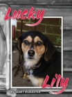 Lucky Lily Cover Image