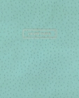 Graph Paper: Executive Style Composition Notebook - Teal Ostrich Skin Leather Style, Softcover - 7.5 x 9.25 - 100 pages (Office Ess By Birchwood Press Cover Image