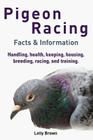 Pigeon Racing: Handling, health, keeping, housing, breeding, racing, and training. Facts & Information By Lolly Brown Cover Image