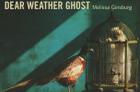 Dear Weather Ghost (Stahlecker Selections) By Melissa Ginsburg Cover Image
