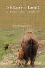 Is It Larry or Lariet? an adventure of a little red buffalo calf By Becky Bereman Grimes Cover Image