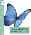 Las mariposas morfo azules Cover Image