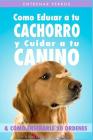 Entrenar Perros: Como Educar a tu Cachorro y Cuidar a tu Canino (& Cómo Enseñarle 20 Órdenes) By Shannon O'Bourne Cover Image