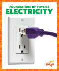Electricity By Anita Nahta Amin Cover Image