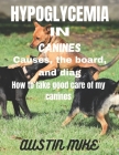 Hypoglycemia in Canines: How to take good care of my canines By Austin Mike Cover Image
