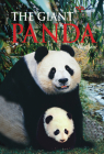 Giant Panda (Discovering China) Cover Image