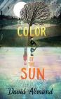 The Color of the Sun By David Almond, Richard Halverson (Read by) Cover Image