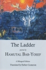 The Ladder By Hamutal Bar-Yosef, Esther Cameron (Translator) Cover Image