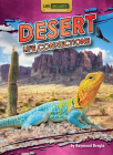 Desert Life Connections By Raymond Bergin Cover Image