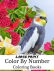 Large Print Color By Number Coloring Books: Large Print Birds, Animals and Butterflies Coloring Book For Adults (Color by Number Coloring Books for Ad By Robin Miller Cover Image