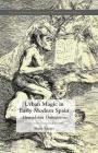 Urban Magic in Early Modern Spain: Abracadabra Omnipotens (Palgrave Historical Studies in Witchcraft and Magic) By M. Tausiet Cover Image