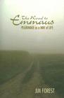 The Road to Emmaus: Pilgrimage as a Way of Life By Jim Forest Cover Image