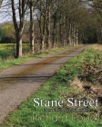 Stane Street: From Chichester to London By Richard Powell Cover Image