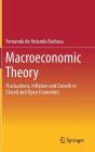 Macroeconomic Theory: Fluctuations, Inflation and Growth in Closed and Open Economies By Fernando De Holanda Barbosa Cover Image
