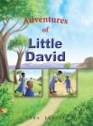 Adventures of Little David (Bible Adventures #1) By Tara Ernest, Zeph Ernest (Illustrator) Cover Image
