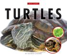 Turtles (Pet Care) By Kathryn Stevens Cover Image