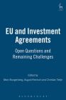 EU and Investment Agreements: Open Questions and Remaining Challenges Cover Image