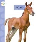 Foals By Anastasia Suen Cover Image