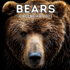 Bears Calendar 2021: 16-Month Calendar, Cute Gift Idea For Bear Lovers Women & Men Cover Image